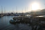 IMG_9245.JPG