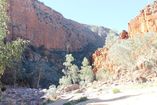 IMG_9691.JPG
