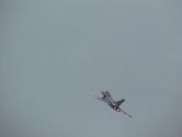 IMG_1117.JPG