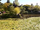 P1010340.JPG