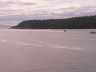 P1010413.JPG
