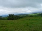 P1120136.JPG