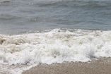 IMG_1510.JPG