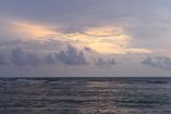 IMG_1583.JPG
