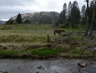 Glendalough