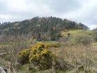 Glendalough