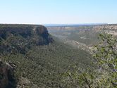 Mesa Verde