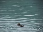 IMG_4776.JPG