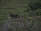 IMG_5465.JPG