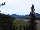 IMG_5576.JPG