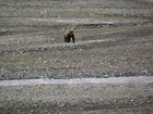 IMG_5934.JPG