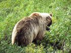 IMG_6156.JPG