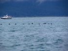 IMG_3187.JPG