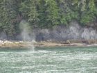 IMG_3219.JPG