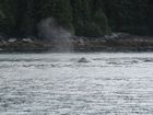 IMG_3227.JPG