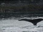 IMG_3230.JPG
