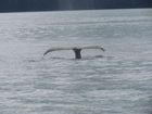 IMG_3232.JPG