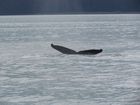 IMG_3233.JPG