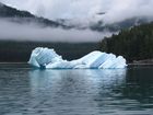 IMG_3267.JPG