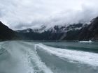 IMG_3369.JPG