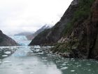 IMG_3382.JPG
