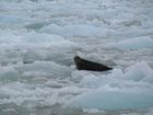 IMG_3428.JPG