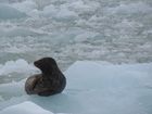 IMG_3449.JPG