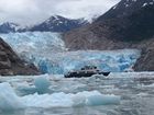 IMG_3517.JPG