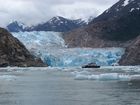 IMG_3520.JPG
