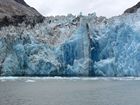 IMG_3547.JPG