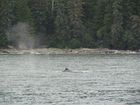 IMG_3649.JPG