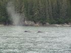 IMG_3654.JPG
