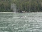 IMG_3693.JPG