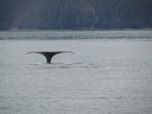 IMG_3717.JPG