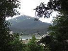IMG_4434.JPG