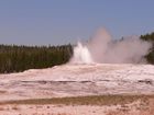 Old Faithful Geyser