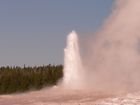 Old Faithful Geyser