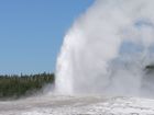 Old Faithful Geyser