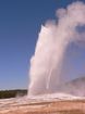 Old Faithful Geyser