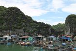 IMG_3095.JPG