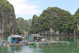 IMG_3106.JPG