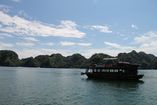 IMG_3120.JPG