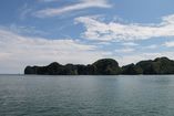 IMG_3121.JPG
