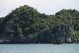 IMG_3144.JPG