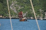 IMG_3148.JPG