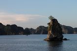 IMG_3174.JPG