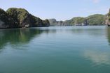 IMG_3196.JPG