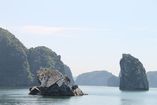 IMG_3207.JPG