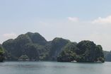 IMG_3250.JPG