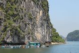 IMG_3251.JPG